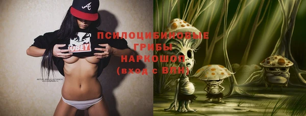 шишки Заволжье