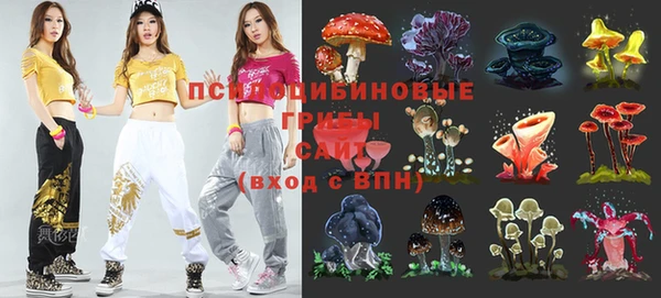 прущая мука Армянск