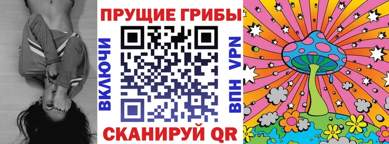 Псилоцибиновые грибы ЛСД  Бакал 